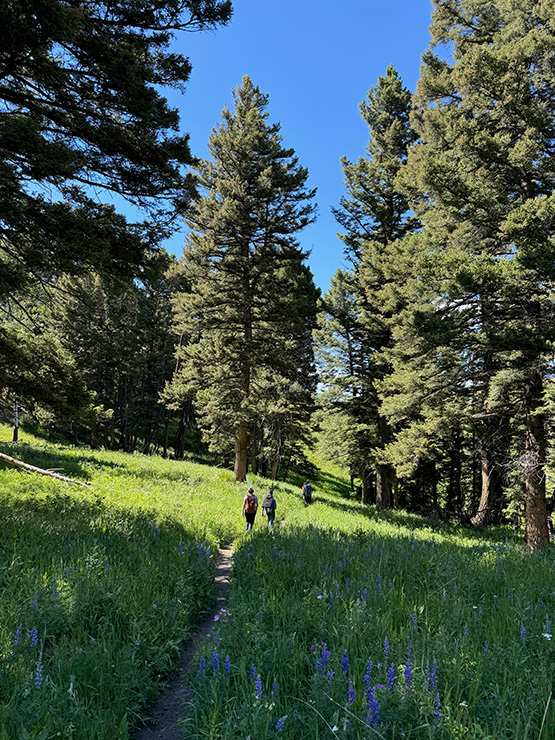 02-02_wilderness