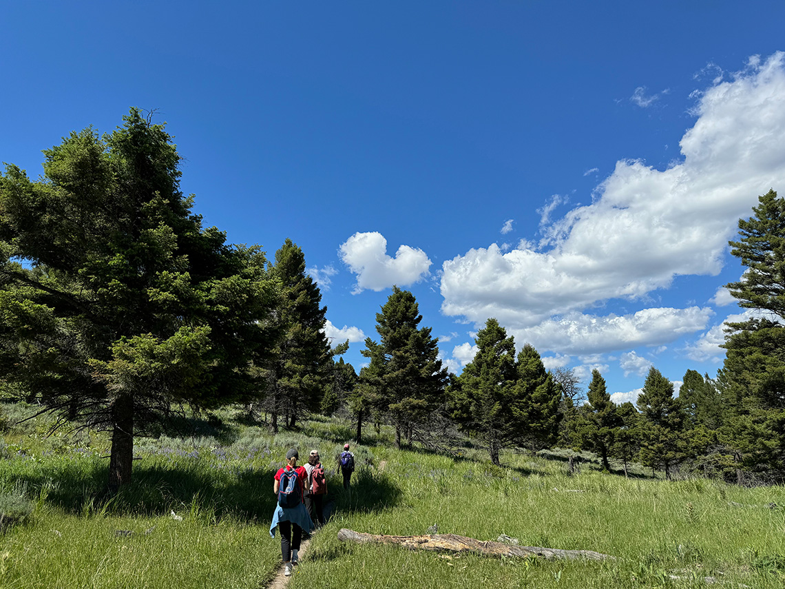 02-06_wilderness