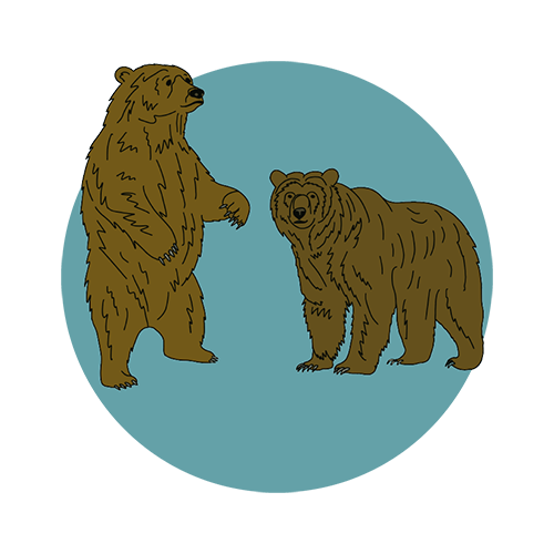 bears