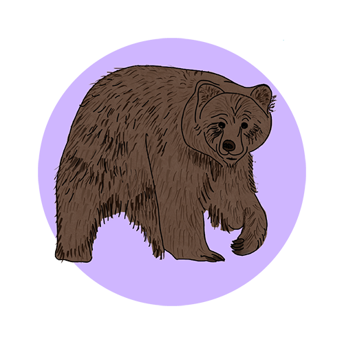 single bear