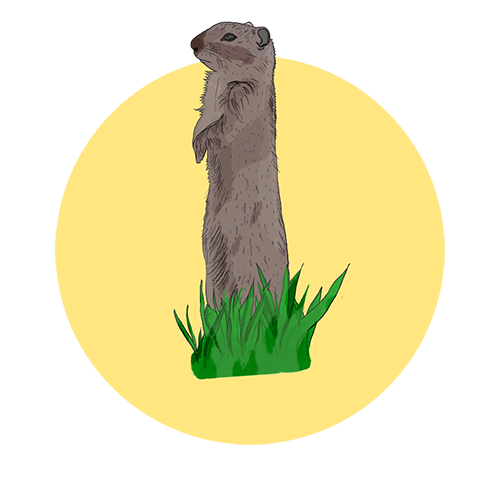 standing squirrel