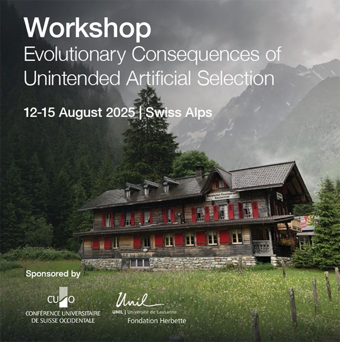 25410010-workshop