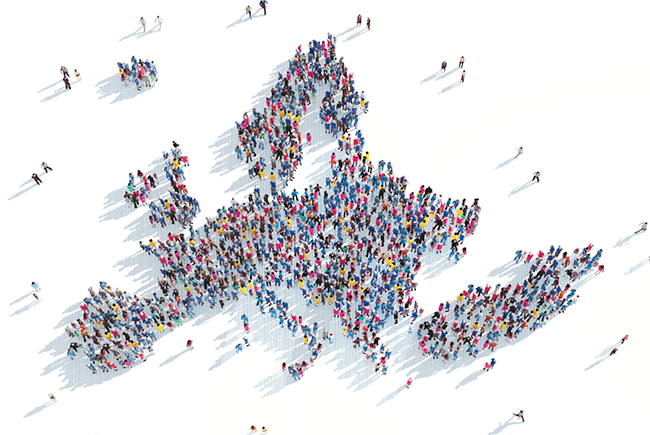 migrations
