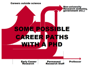Multiple career paths await PhDs